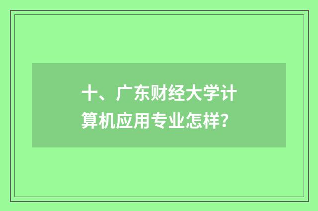 十、广东财经大学计算机应用专业怎样？
