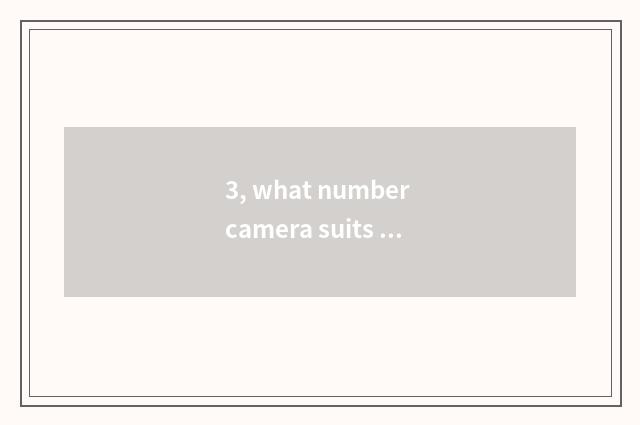 3, what number camera suits commercial photography?