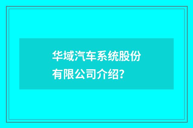 华域汽车系统股份有限公司介绍？