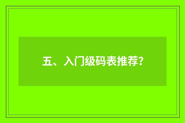五、入门级码表推荐？