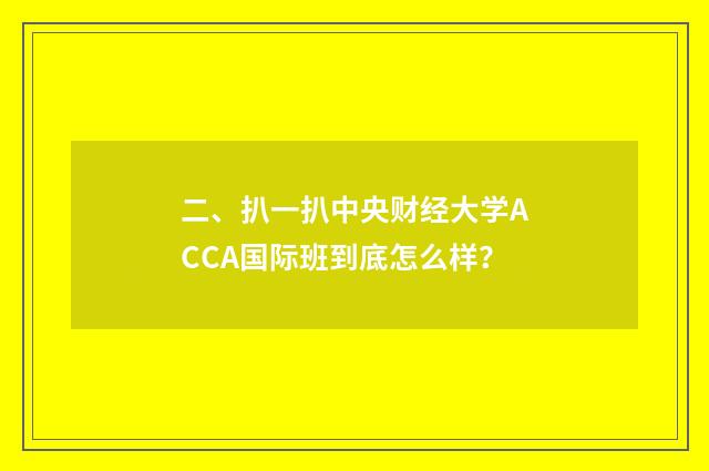 二、扒一扒中央财经大学ACCA国际班到底怎么样？