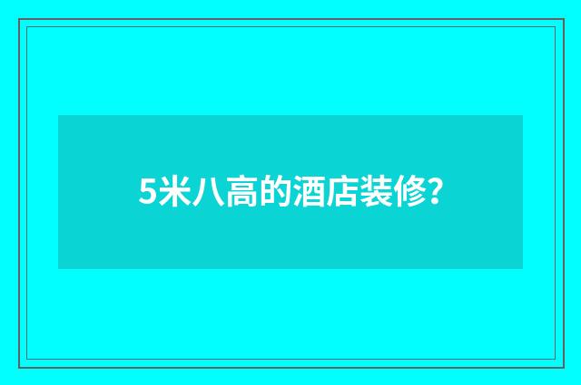 5米八高的酒店装修？