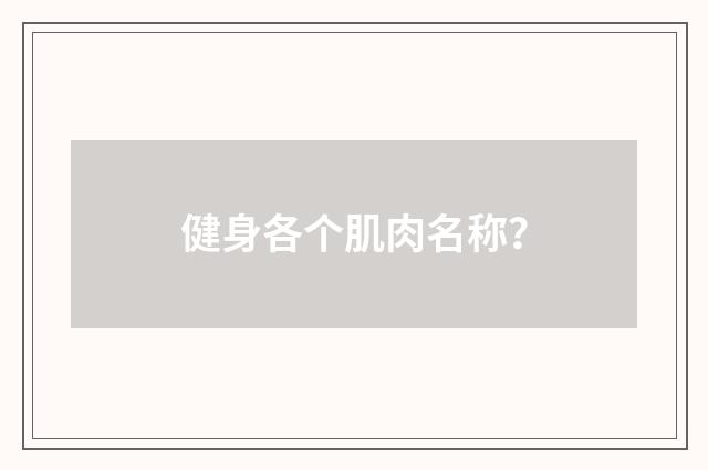 健身各个肌肉名称？