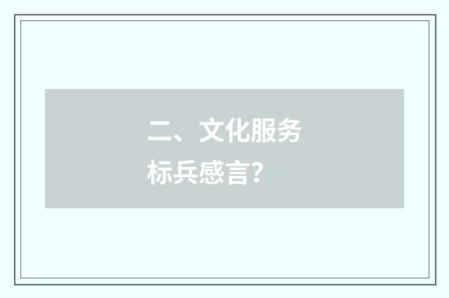 二、文化服务标兵感言？
