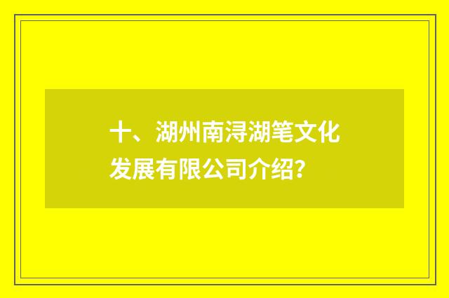 十、湖州南浔湖笔文化发展有限公司介绍？