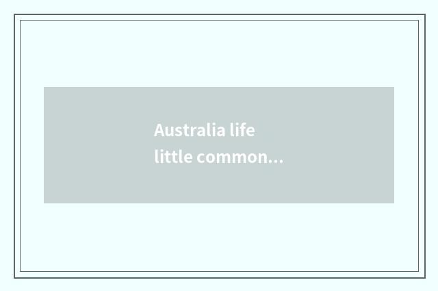 Australia life little common sense?