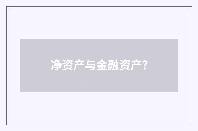 净资产与金融资产？