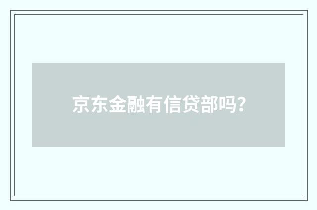 京东金融有信贷部吗?
