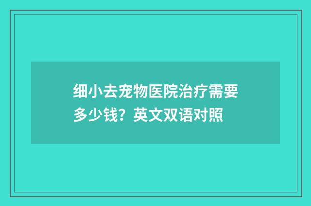 细小去宠物医院治疗需要多少钱？英文双语对照