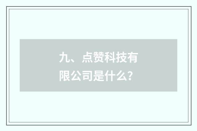 九、点赞科技有限公司是什么？
