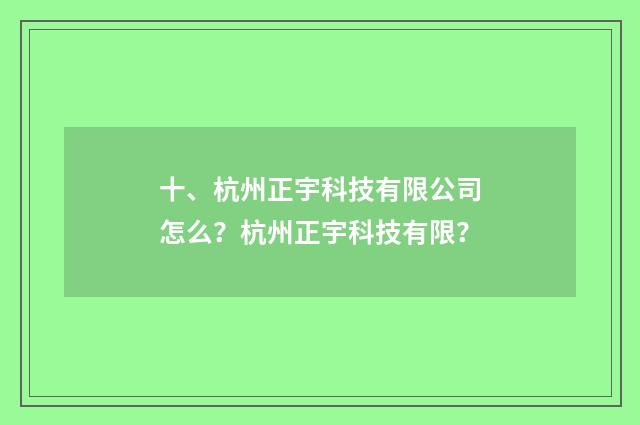 十、杭州正宇科技有限公司怎么？杭州正宇科技有限？