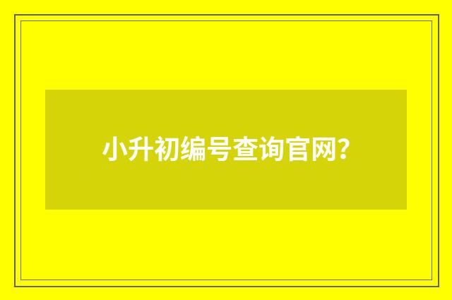 小升初编号查询官网？