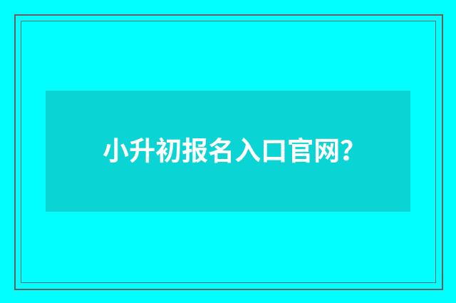 小升初报名入口官网？