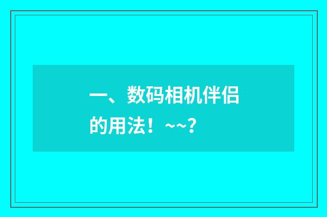 一、数码相机伴侣的用法！~~？