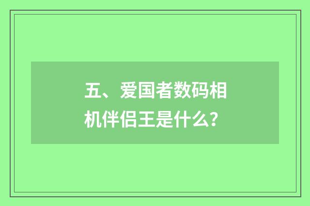 五、爱国者数码相机伴侣王是什么？