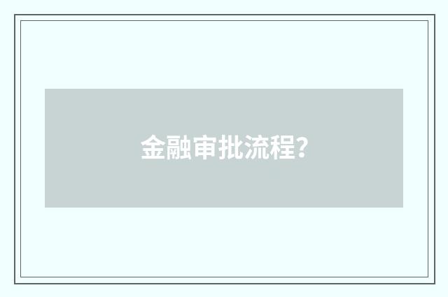 金融审批流程？