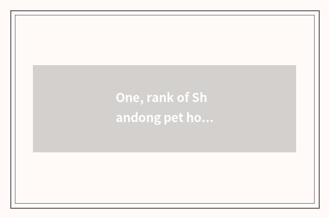 One, rank of Shandong pet hospital?