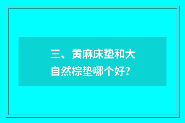 三、黄麻床垫和大自然棕垫哪个好?