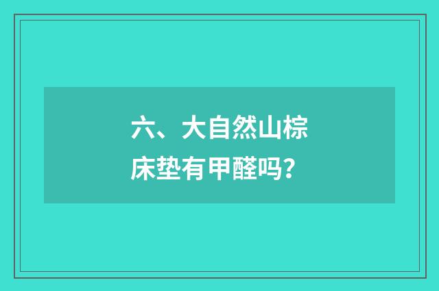 六、大自然山棕床垫有甲醛吗？