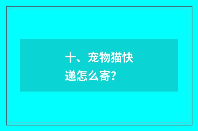 十、宠物猫快递怎么寄？