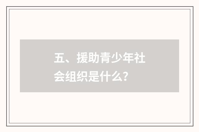 五、援助青少年社会组织是什么？
