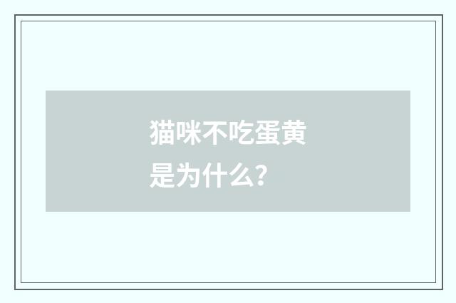 猫咪不吃蛋黄是为什么？