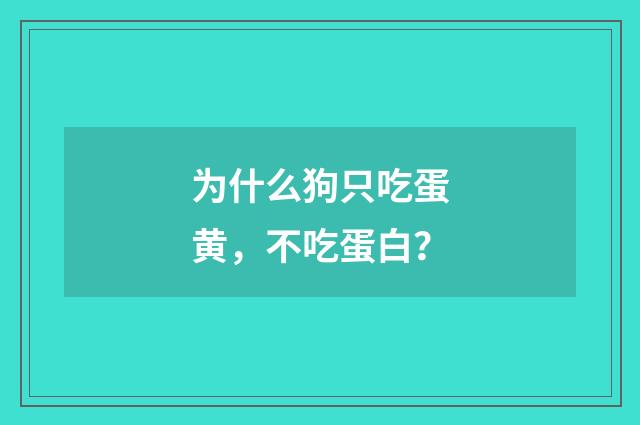 为什么狗只吃蛋黄，不吃蛋白？