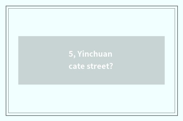 5, Yinchuan cate street?