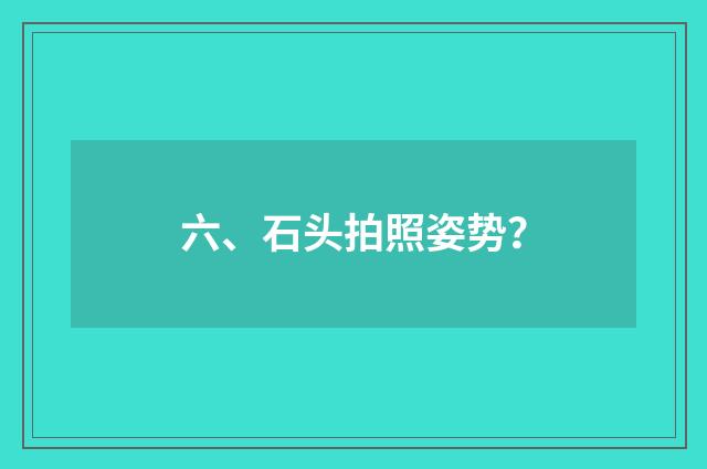 六、石头拍照姿势？