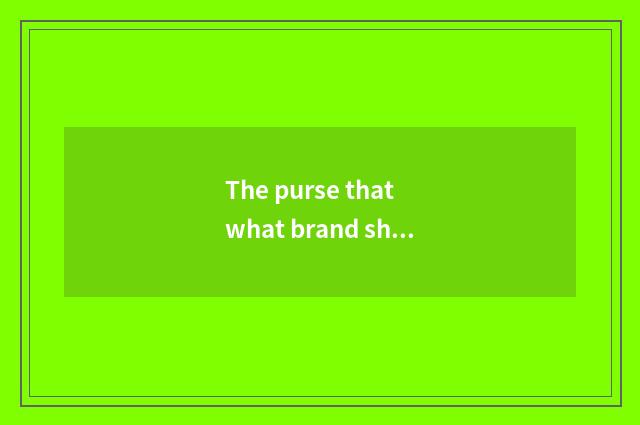 The purse that what brand should the undergraduate buy is practical vogue?