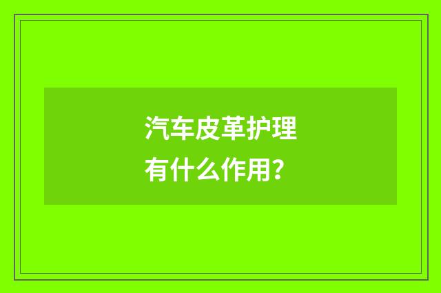 汽车皮革护理有什么作用？