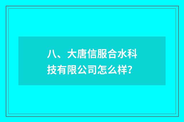八、大唐信服合水科技有限公司怎么样？