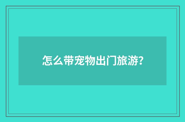 怎么带宠物出门旅游？