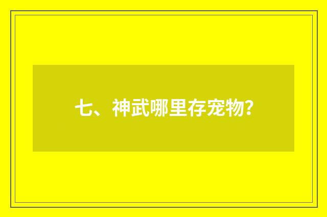 七、神武哪里存宠物？