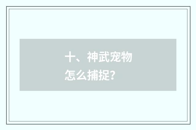 十、神武宠物怎么捕捉？
