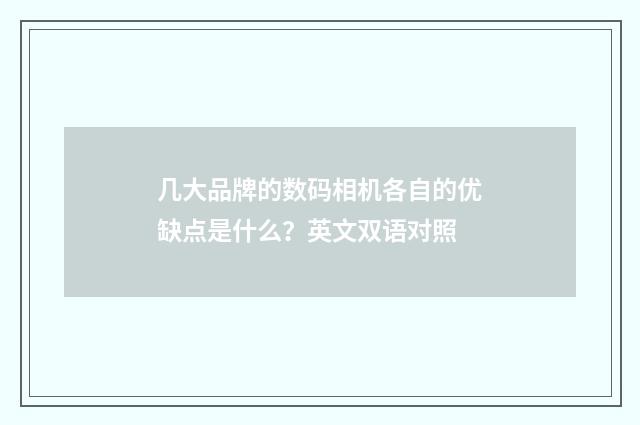几大品牌的数码相机各自的优缺点是什么？英文双语对照