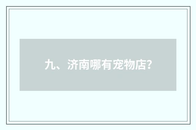 九、济南哪有宠物店？