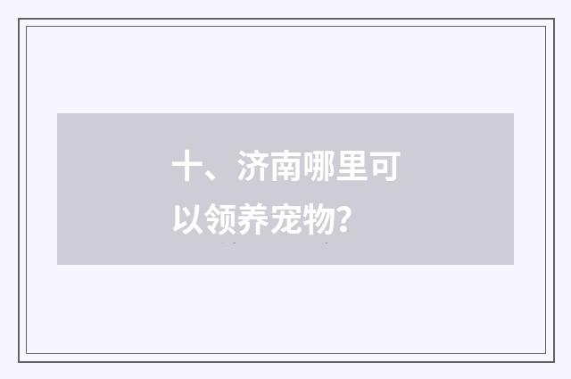 十、济南哪里可以领养宠物？