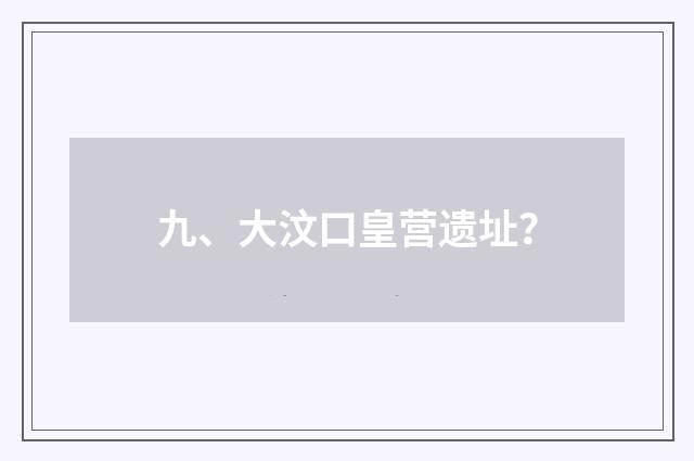 九、大汶口皇营遗址？