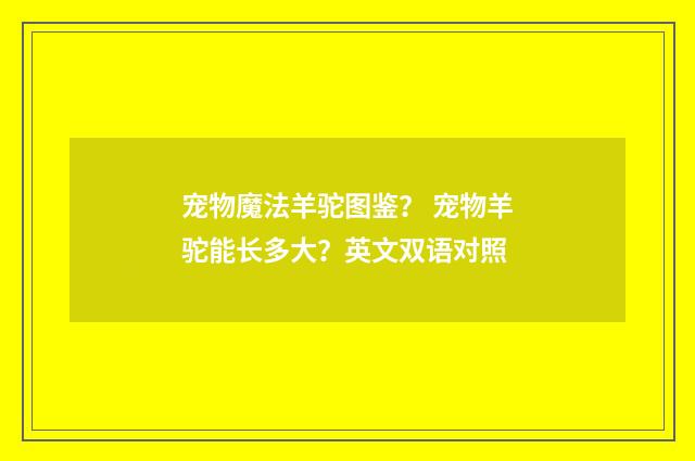 宠物魔法羊驼图鉴？ 宠物羊驼能长多大？英文双语对照