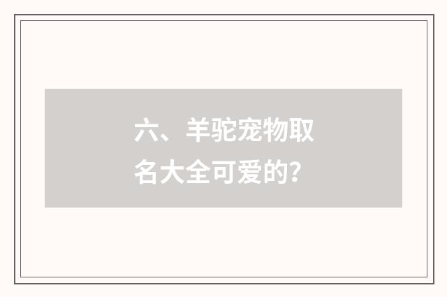 六、羊驼宠物取名大全可爱的？