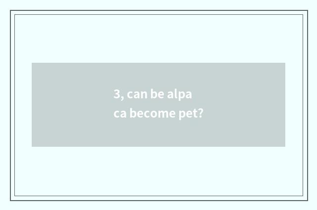 3, can be alpaca become pet?