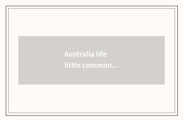Australia life little common sense?