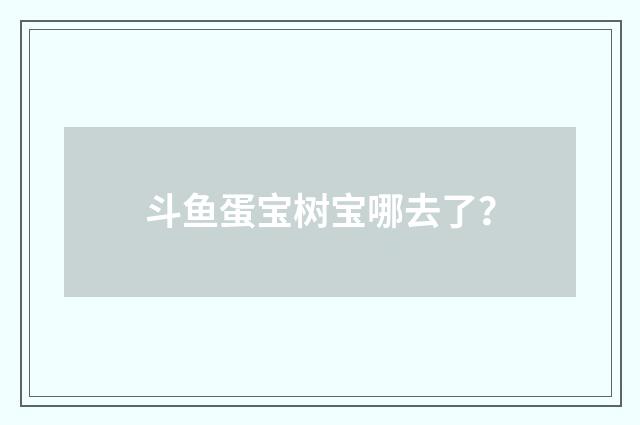 斗鱼蛋宝树宝哪去了？
