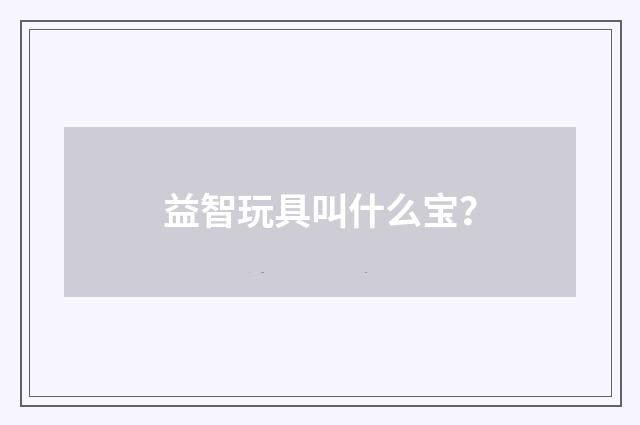 益智玩具叫什么宝？