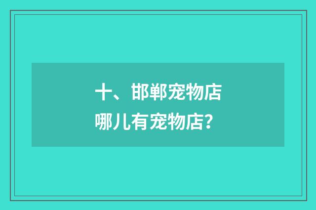 十、邯郸宠物店哪儿有宠物店？