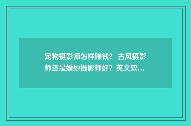宠物摄影师怎样赚钱？ 古风摄影师还是婚纱摄影师好？英文双语对照