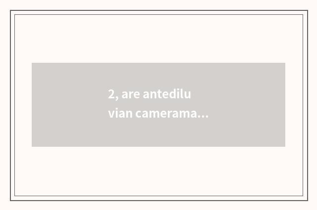 2, are antediluvian cameraman or marriage gauze cameraman good?
