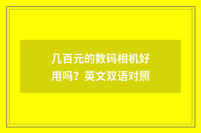 几百元的数码相机好用吗？英文双语对照