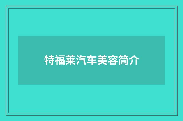 特福莱汽车美容简介